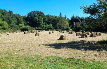 Gîte Ty Laouen Clohars-Carnoët - Foto 22