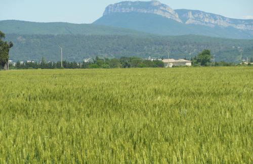 l esquisse - Foto 21