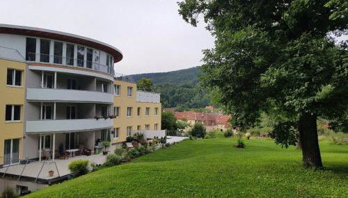 Ferienwohnungen Thüringer Wald - Foto 4, Garden