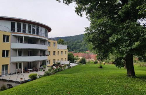 Ferienwohnungen Thüringer Wald - Foto 4