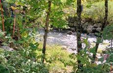 Châlet 8 personnes + grand terrain et rivière - Foto 27