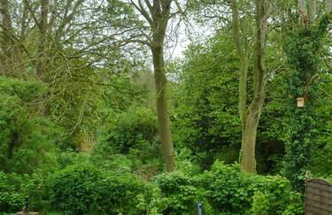 Gesine's Huuske - Foto 21