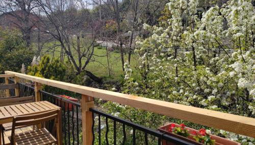 La sittelle - Foto 2