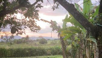 Rancho Refugio Verde AL - Foto 3