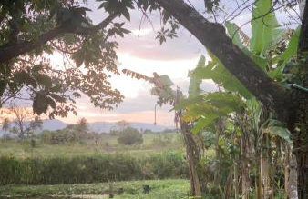 Rancho Refugio Verde AL - Foto 3