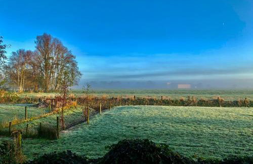 Ferienhaus Norddeichkieker -Nähe Büsum - Foto 35