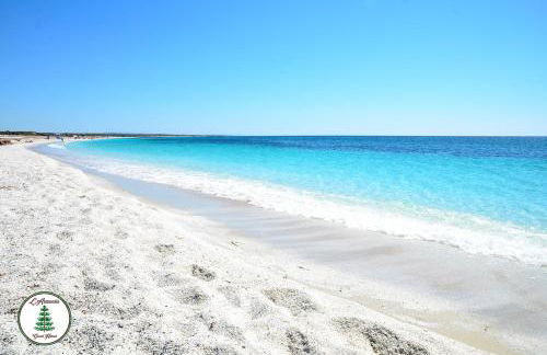 L'Araucaria Appartamento Suite Il Ginepro - Foto 30