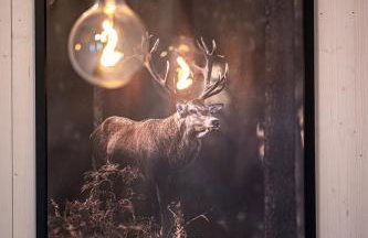 Wynki no. 69 - Photo 11