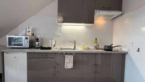 Appartement Strasbourg Centre - Photo 4, stove