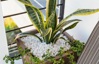 Agnanti Apartment - Photo 44