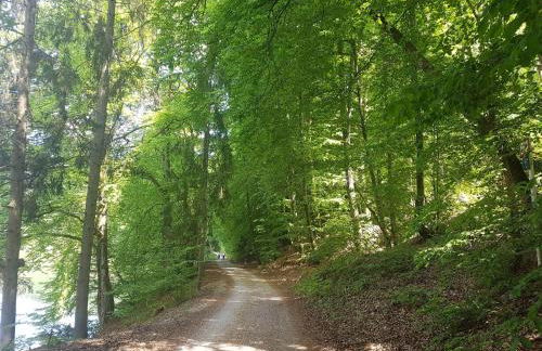 Ferienwohnung Agnes Mayer - Foto 17