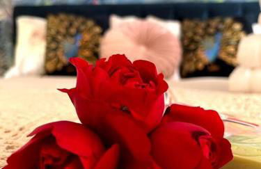 La Colline de Tilleul - De La Colline 4 STAR RATED - Beautiful Cottage Near Aubeterre - Foto 17