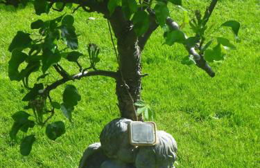 Alteschule15 - Foto 15