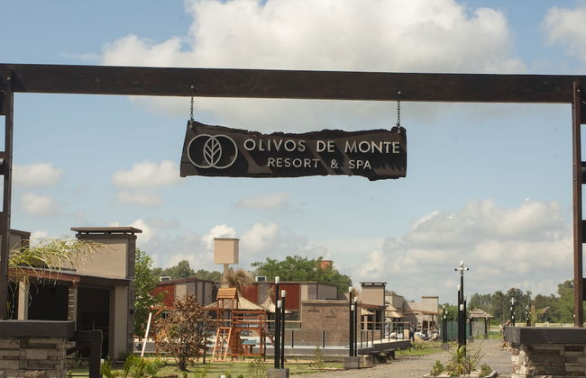 Olivos de Monte - Foto 63