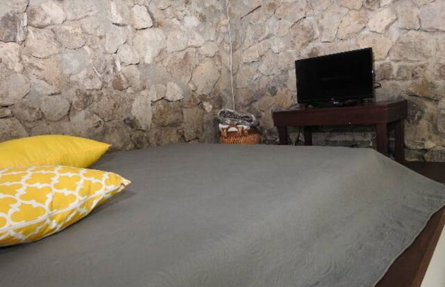 Relaxing Sound of River Birds Squirrels - Foto 2