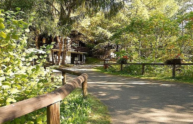 Chalet in Germany With Fireplace & Terrace - Photo 19
