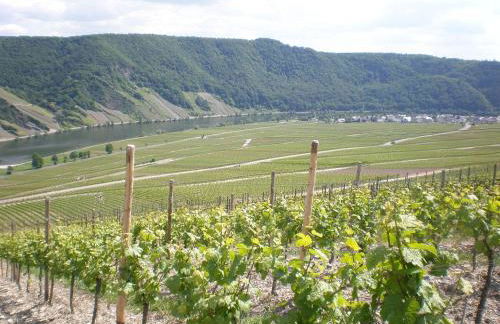 Holiday Home Weingut Mertes - Foto 6