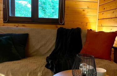 DOMKI LETNISKOWE KOMAŃCZA - Foto 3