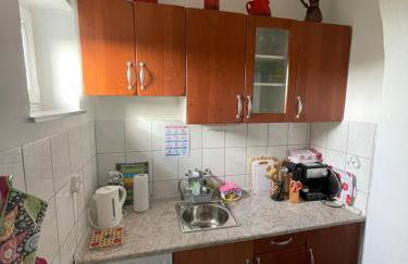 Apartmani Mirela - Foto 28