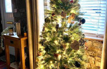 The Cwtch in Maesteg - Foto 31