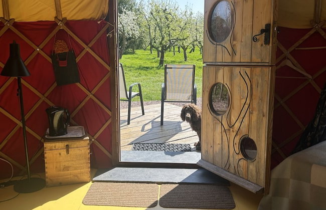 Dragon Orchard Retreat - Foto 61