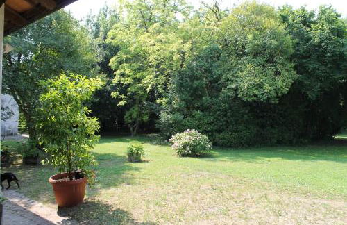 Villa Mainardi Agriturismo - Foto 42