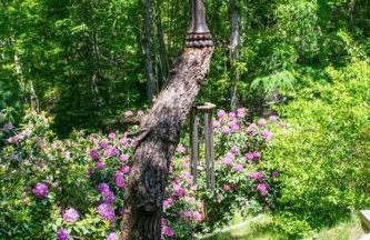 West Falmouth Escape - Foto 27