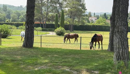 Le Mas Rose - Foto 4