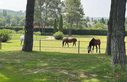 Le Mas Rose - Foto 4