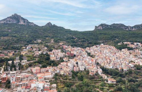 Jerzu Centro - Foto 17