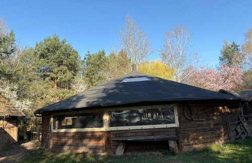 Agroturystyka Traperska Osada - Foto 66