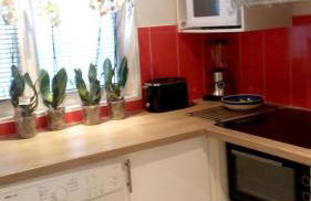 Appartement moderne à Paray-Vieille-Poste, 50m², avec terrasse - Foto 4