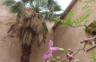 Grande maison Art Nouveau entre mer & garrigue, charme et loisirs au cœur du Sud - Foto 12