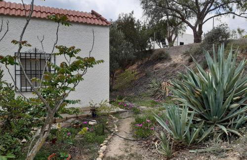 Casa rural Alborania con jardín, aparcamiento, tranquilo, entre el mar y el desierto - Foto 32