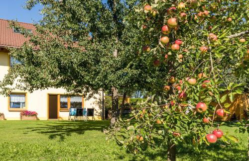 Wohnung 5 Morgensonne - Foto 11