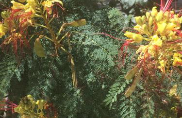 Toni i Kristina - Photo 58