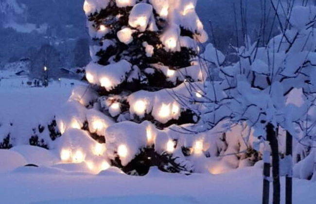 Konigssee - Reich Family - Foto 15