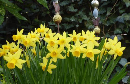 Ferienhof von Hammel - Foto 6