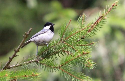 Ostoja Kamionki - Foto 19