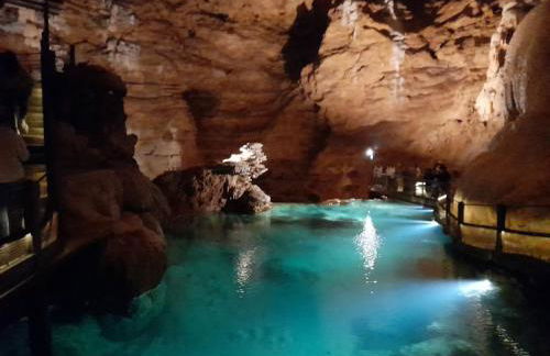 Character home in Loubressac close to Rocamadour - Photo 29