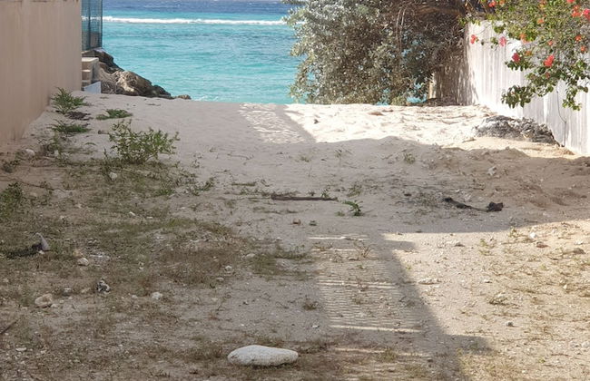 Devachan Apartments - Foto 42