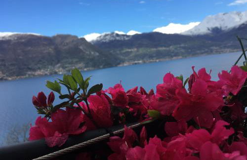 Residence Il Poggio - Foto 29