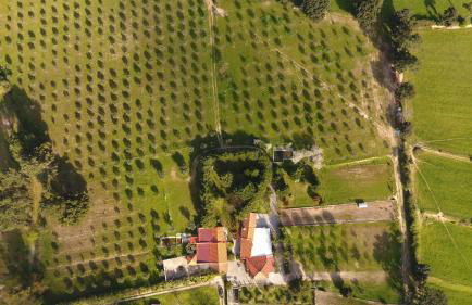 Quinta Santo Antonio do Rio - Foto 27