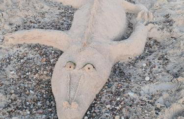 Paradiso Rusinowo - Foto 28