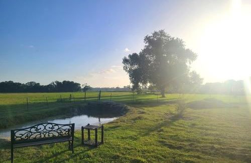 Pet-Friendly Cozy Studio Suite with Pond View & Spa Amenities - Foto 13