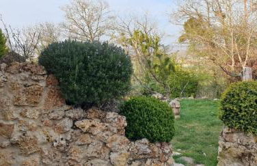 Le Coq De Champagne - Foto 12