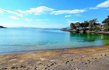 Alexander's - Foto 24