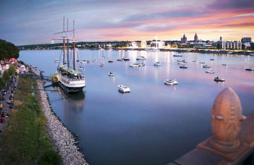 Gemütliche Ferienhaushälfte im Herzen Mainz - Foto 15