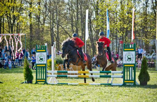 Domek Trolla - Foto 47