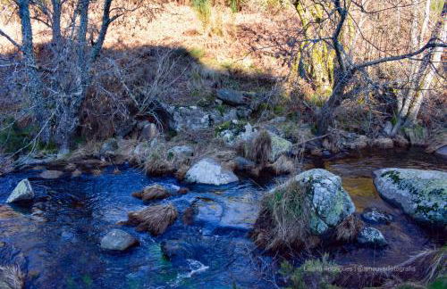 Casa Largo S Lourenço e Casa da Videira - Photo 23